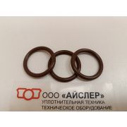 O RING 25X3.75 (VITON)