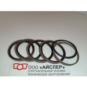 Уплотнение OMEGAT клапана аксиального NNPB (43,00х45,00х4,0) (9137600019)