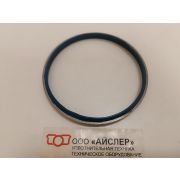 44500004932 Грязесьёмник I-0005/ТКМ0080 GZ8, Isler